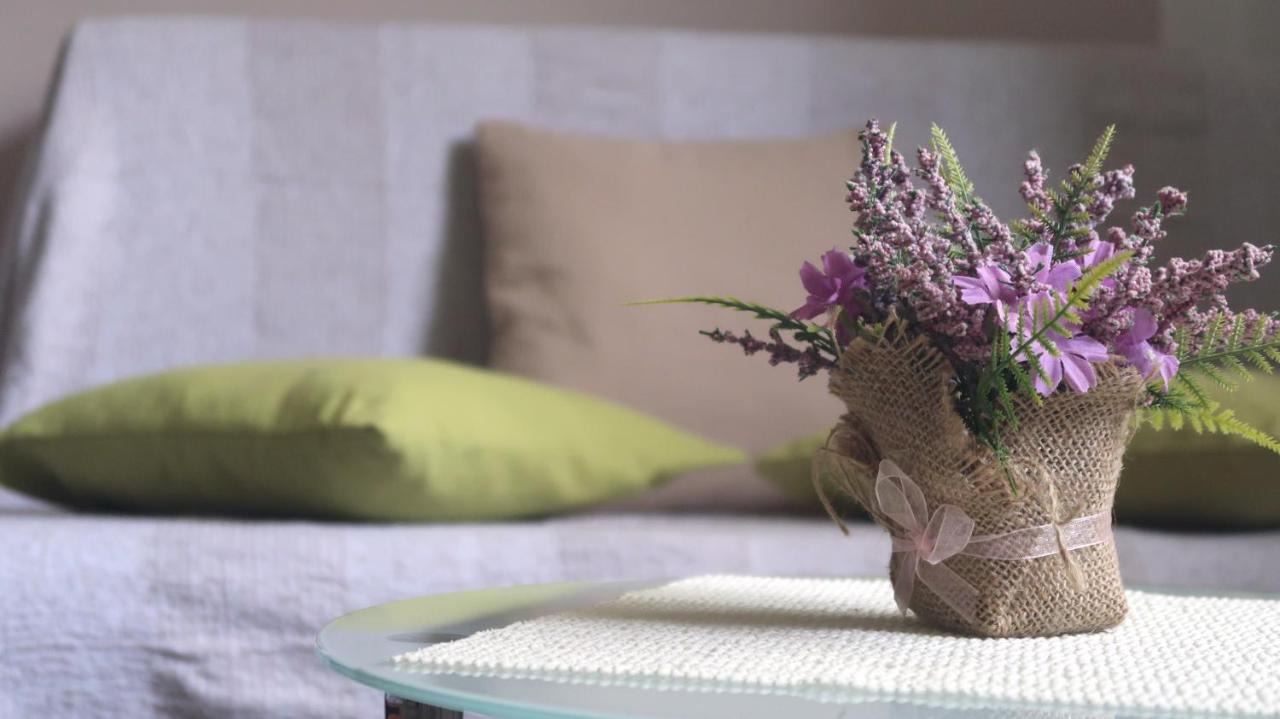 Apartment Adria
