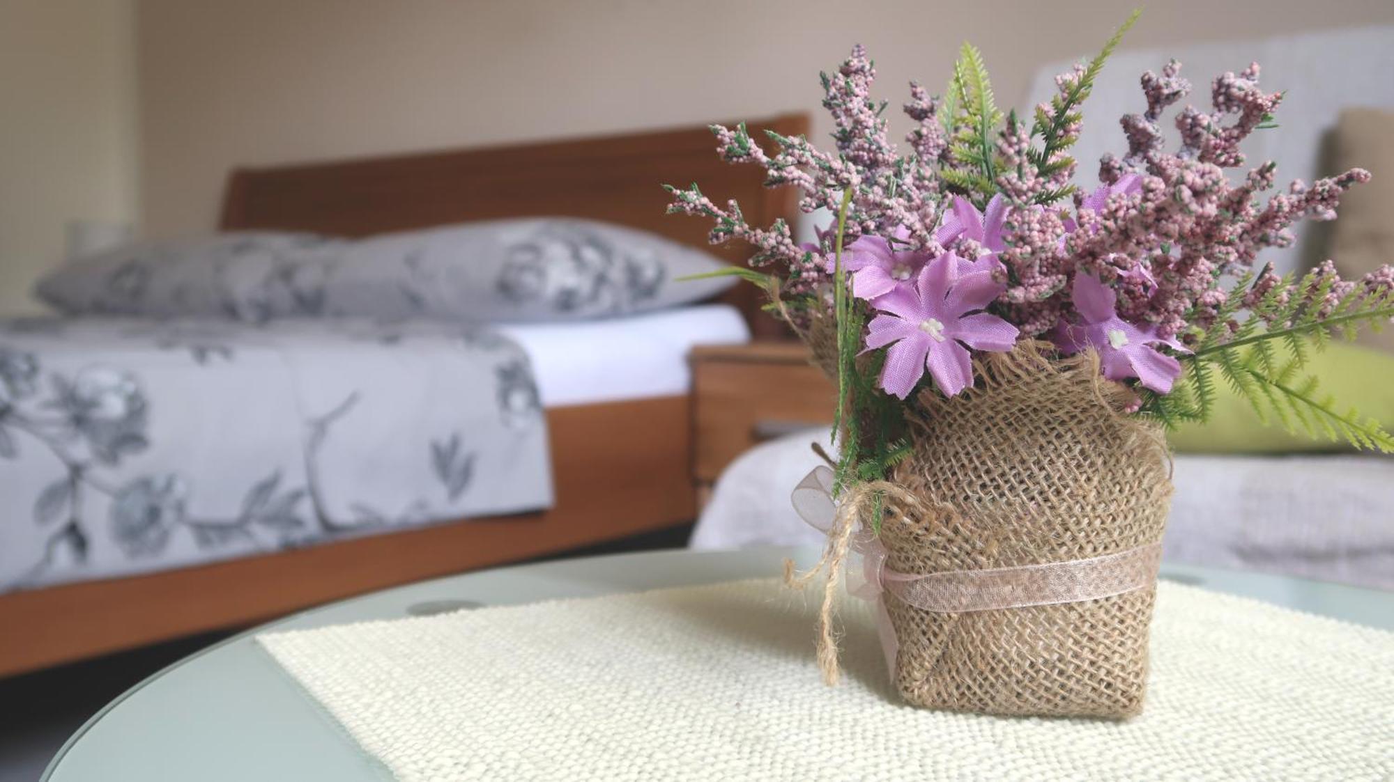 Adria Apartment *